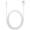 Apple Cable Conector Lightning a USB 69072 pequeño