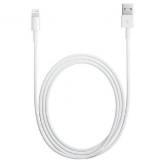  imagen de Cable Lightning iPhone/iPad USB 1m 92856