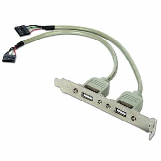  imagen de Gembird Cable USB 2.0 Panel Posterior 2xUSB 0.25Mt 128839